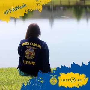 Meet your Posher, Ally